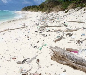 Strand voller Plastikmüll: Satelliten sollen diesen künftig orten (Foto: rmit.edu.au) Strand voller Plastikmüll: Satelliten sollen diesen künftig orten (Foto: rmit.edu.au)