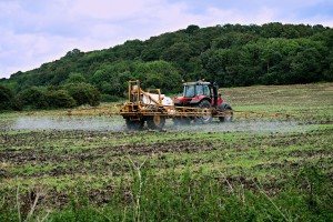 Landwirtschaft: Stickstoffdünger hinterlässt bleibende Spuren (Foto: pixabay.com, Nottmpictures)