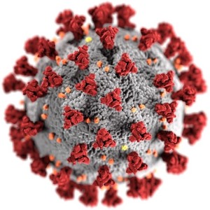 Coronavirus: massive wirtschaftliche Verluste für Deutschland (Bild: jakirhosainmolla, pixabay.com)