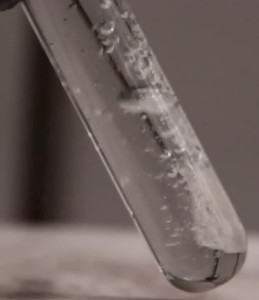 Reagenzglas: Hier sprudelt spontan Wasserstoff empor (Foto: ucsc.edu)