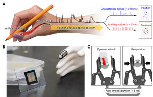 Schematische Darstellung der Funktionsweise der E-Haut (Illustration: international.postech.ac.kr)