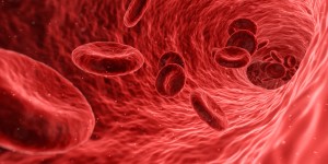 Blut: Neuer Ansatz gegen Leukämie vielversprechend (Foto: pixabay.com, qimono)
