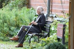 Demente Frau: Krankheit schreitet nicht immer voran (Foto: pixabay.com, kor_el_ya) Demente Frau: Krankheit schreitet nicht immer voran (Foto: pixabay.com, kor_el_ya)