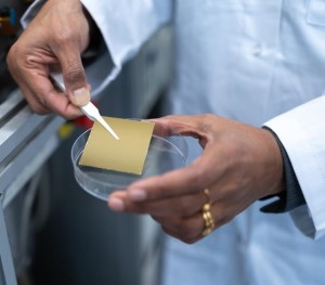 2D-Siliziumdioxid-Schicht auf Goldoberläche aufgebracht (Foto: rub.de, Kramer)