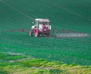 Versprühen von Pestiziden: Glühwürmchen-Leuchten identifiziert Toxizität (Foto: pixabay.com/maxmann)