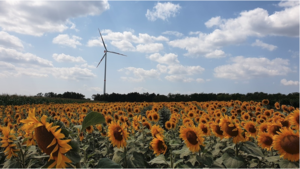 Windrad in Groß-Schweinbarth, NÖ (Foto: PROFES)