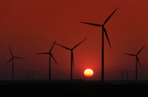 Windkraft im Burgenland (Foto: Johann Stritzlinger - Tag des Windes)