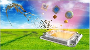 Reisschalen werden zum neuen Rohstoff für Elektronik (Illustration: ACS Sustainable Chem. Eng) Reisschalen werden zum neuen Rohstoff für Elektronik (Illustration: ACS Sustainable Chem. Eng)