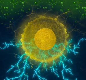 Veranschaulichtes Spiel der Elektronen (Bild: Lakshman Ventrapragada, Sri Sai Prasad Nayak)