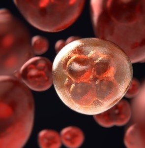 Zellteilung: Strahlentherapie mit einem doppelten Effekt (Bild: pixabay.com, ColiN00B)