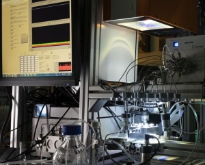 Photokatalytische Membranfiltrationsanlage mit Sonnensimulator (Foto:  Markus Breig, kit.edu)