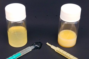 Oleogele für die Verabreichung von Medikamenten nutzbar gemacht (Foto: Matt Pickett, Dylan Freitas) Oleogele für die Verabreichung von Medikamenten nutzbar gemacht (Foto: Matt Pickett, Dylan Freitas)