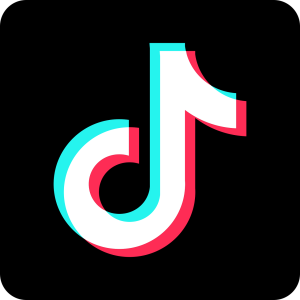 TikTok: Brutstätte für gewalttätigen und extremistischen Content (Bild: pixabay.com, Sayyid 96)