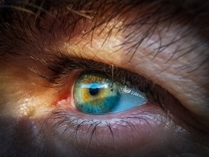 Auge: Einfache Untersuchung schützt vor einem Herzinfarkt (Foto: pixabay.com, Lars Nissen)