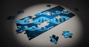 Genetisches Puzzle: Motoneuron-Erkrankungen erforscht (Foto: pixabay.com, Arek Socha)