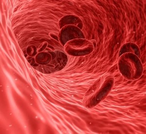Blutstrom: mehr weiße Blutkörperchen im Blut sind verräterisch (Foto: pixabay.com, Arek Socha)