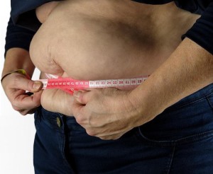 Übergewicht: Forscher entschlüsseln wichtigen Signalweg im Gehirn (Foto: pixabay.com, Bru-nO)