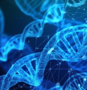 DNA: Gen PTBP2 hat Einfluss auf Regulierung des Körpergewichts (Bild: pixabay.com, geralt)