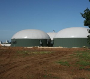 Biogas-Anlage: Strengere Kriterien für Gütesiegel (Foto: pixabay.com, JanNijman)