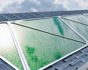 Algen-Paneele: wachsen dank Sonnenlicht (Bild: greenfluidics.com)