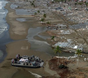 Tsunamis richten verheerende Schäden an (Foto: pixabay.com, Wikilmages)