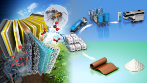 Kreislaufskizze: Herstellung und Verwertung von Formiaten (Bild: eng.kist.re.kr) Kreislaufskizze: Herstellung und Verwertung von Formiaten (Bild: eng.kist.re.kr)