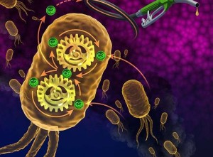 Künstlerische Darstellung der Umwandlung von CO2 in Sprit (Bild: Besiki Kazaishvili, nrel.gov)