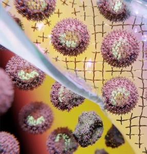 Künstlerische Darstellung der Gele, die einen viralen Impfstoff einkapseln (Bild: ethz.ch/J. Zawada) Künstlerische Darstellung der Gele, die einen viralen Impfstoff einkapseln (Bild: ethz.ch/J. Zawada)