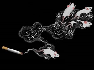 Maus-Tests: Nikotin aktiviert zweites Dopaminnetzwerk (Bild: Christine Liu, berkeley.edu)