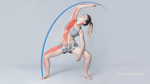 Stretching und Krafttraining (Bild: Spiraldynamik®)