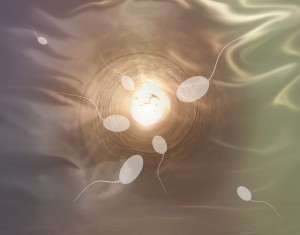 Spermien beim Wettlauf Richtung Ei: bisher nicht immer erfolgreich (Bild: Karin Henseler/pixabay.de)