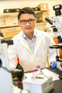 Wassersammler Dai in seinem Labor in Dallas (Foto: utdallas.edu) Wassersammler Dai in seinem Labor in Dallas (Foto: utdallas.edu)