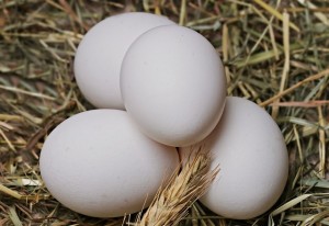 Vier Eier: Aus Eiweiß lässt sich ein Filter herstellen (Foto: S. Hermann, F. Richter, pixabay.com)