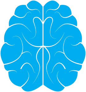 Gehirn: Früherkennung von Alzheimer ist entscheidend (Foto: pixabay.com, sinisamaric1)