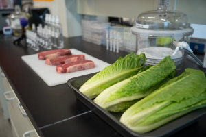 Testobjekte Fleisch und Römersalat: Bakteriophagen töten Keime verlässlich ab (Foto: mcmaster.ca)