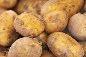 Kartoffeln: Sie haben mitunter großes Potenzial für die Krebsbehandlung (Foto: pixabay.com, Couleur)