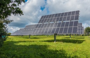 Solarpaneele: Regenerativer Strom ist der Trend 2022 (Foto: mrganso, pixabay.com)