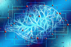 Gehirn: Maschinelles Lernen ermöglicht völlig neue Erkenntnisse (Foto: pixabay.com, Gerd Altmann)