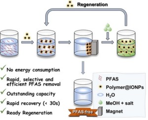 Prinzipskizze der PFAS-Entfernung und der Desorption (Illustration: uq.edu.au)