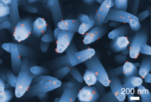 Nanodrähte: Hirnkrebs lässt sich deutlich früher erkennen (Foto: Takao Yasui, en.nagoya-u.ac.jp)