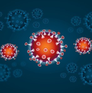 COVID-19: Paxlovid verfügt laut neuer Studie über große Wirksamkeit (Foto: pixabay.com, iXimus)