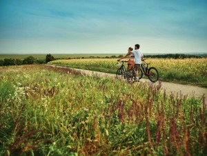 Per Rad durchs Burgenland (Foto: Burgenland Tourismus, Oliver Gast)