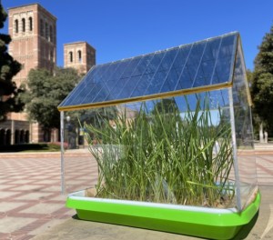 Testgewächshaus auf dem Campus der UCLA (Foto: Yang Yang Labor, ucla.edu)