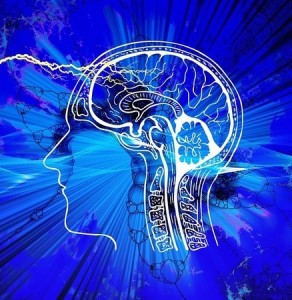 Gehirn im Fokus: Neues Diagnoseverfahren schont Patienten (Bild: geralt, pixabay.com)