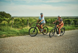 Losradeln im Burgenland - inklusive Genuss (Foto: Burgenland Tourismus/Oliver Gast)