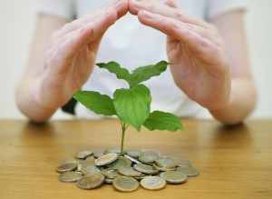 Pflänzchen: Deutsche Industriefirmen schrauben Investitionen zurück (Foto: pixabay.com, RoboAdvisor)