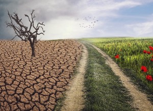 Klimawandel: mediale Berichterstattung oft zu wenig lösungsorientiert (Bild: pixabay.com, ELG21)