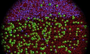 Nanostruktur der gedruckten Titanlegierung (Illustration: Ma Qian, Simon Ringer et al.)