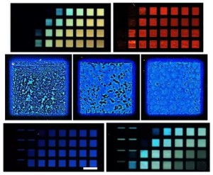 Farblicher Gesamteindruck von leuchtenden Mustern ist mittels KI steuerbar (Fotos: mpikg.mpg.de) Farblicher Gesamteindruck von leuchtenden Mustern ist mittels KI steuerbar (Fotos: mpikg.mpg.de)