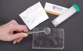 Folie, die Medikamente direkt ins Blut befördert (Foto: nus.edu) Folie, die Medikamente direkt ins Blut befördert (Foto: nus.edu)